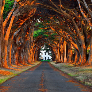 看韩国美女日P视频
